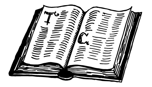 Image posted by the member