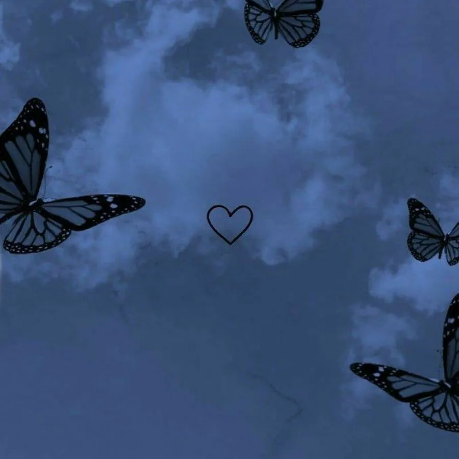Image posted by the member
