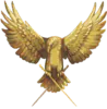 Image posted by the member