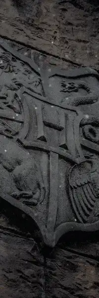 Image posted by the member