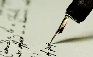 Image posted by the member