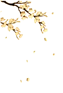 Image posted by the member