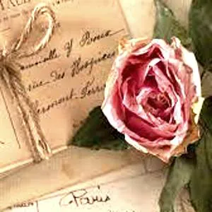 Image posted by the member