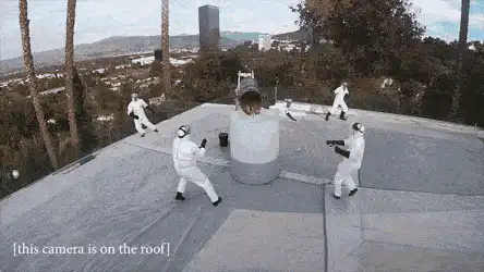 Image posted by the member