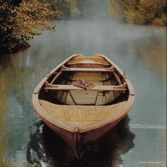 Image posted by the member