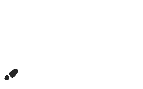 Image posted by the member