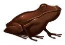 Image posted by the member