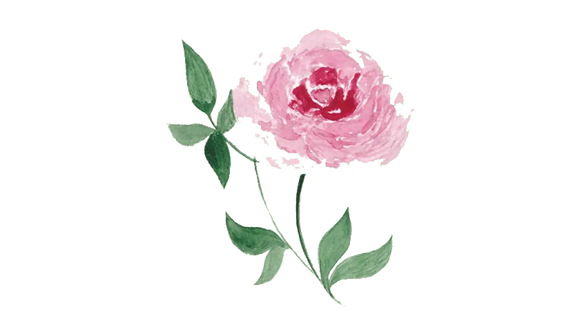 Image posted by the member