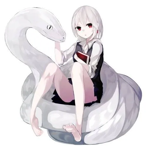 Image posted by the member