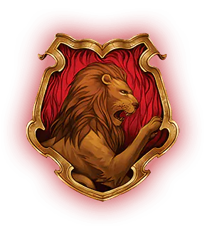 Image posted by the member