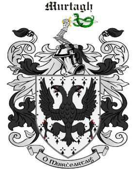 Image posted by the member
