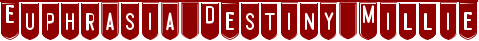 Image posted by the member