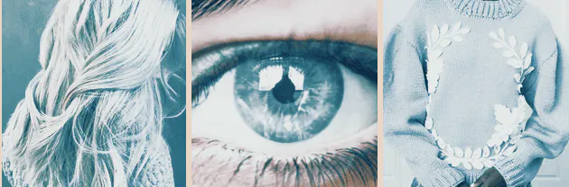 Image posted by the member