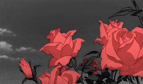 Image posted by the member